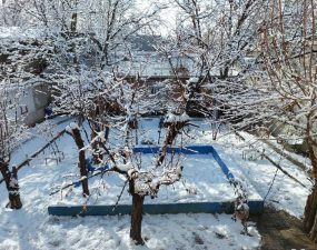 بومگردی خانه گردو (4)