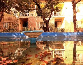 بومگردی خانه گردو (5)